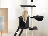un chat assis au sommet d'un arbre à chat
