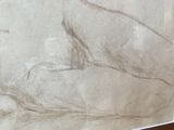 drawing of a dog laying down in a frame on a table