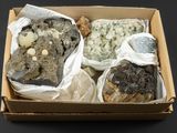 une boîte contenant différents types d'aliments