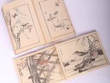 trois livres illustrés d'oiseaux et de fleurs