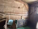 an image of a room with a green floor and a window