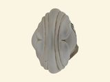 an image of a sculpture of a shell on a white background