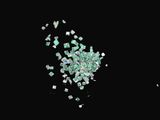 some pieces of green glass are scattered on a black surface