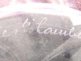 a close up of a person holding an umbrella with writing on it