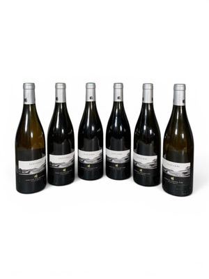 six bouteilles de vin alignées sur une surface blanche