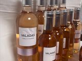 Des bouteilles de différents types de vin sont alignées sur une table