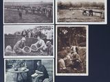 plusieurs vieilles photographies en noir et blanc représentant des personnes et des animaux dans un champ