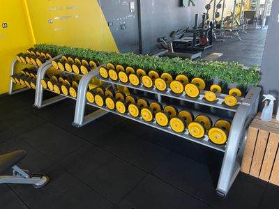 un rack de « Dumb Dumbs » dans une salle de sport, avec des roulettes jaunes