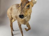 a fake deer that is standing on a white surface