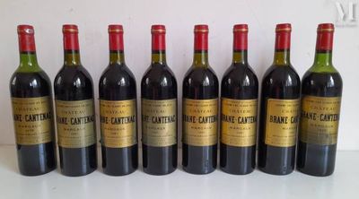 six bottles of red wine lined up in a row on a table