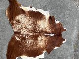 une peau de vache brune et blanche posée par terre