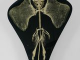 an image of a black and gold plate with a skeleton on it