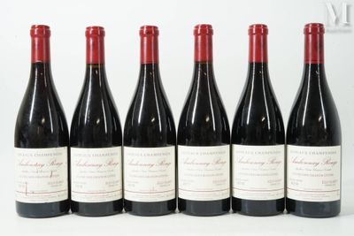 six bouteilles de vin sont alignées sur une surface blanche