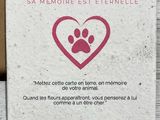 Photo 12/12 du lot