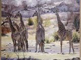 tableau représentant un groupe de girafes dans un champ