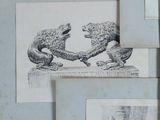 several drawings of animals are displayed on a wooden surface