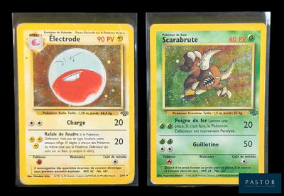 Deux cartes Pokémon sont représentées côte à côte sur un fond noir.