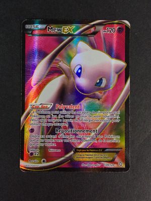 une image d'une carte Pokémon sur laquelle figure un chat