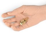 a hand holding a gold piece on it ' s palm