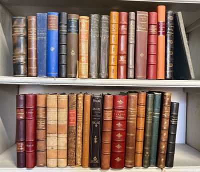de nombreux livres anciens sur les étagères de la pièce