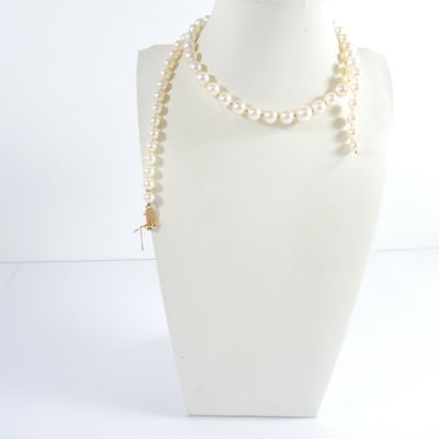 pearl necklace on mannequin display with white background