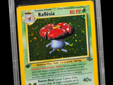 gros plan d'une carte pokemon dans un étui en plastique