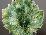 a green leaf shaped plate on a stand on a gray surface