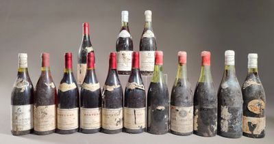 plusieurs bouteilles de vin sont alignées sur une table