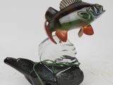 a fish that is sitting on top of a rock