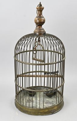 un oiseau en cage sur fond blanc