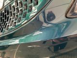a close up of a car ' s front grill with a dog on it