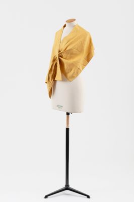 une photo d'un mannequin vêtu d'une veste jaune