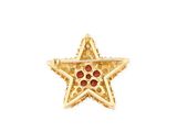 a gold plated star shaped brooch with red stones