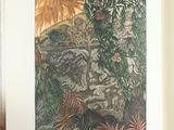 a picture of a book with a picture of a man in a jungle