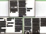 several rows of black and white buttons are arranged in a row