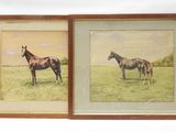 two framed pictures of a horse and a horse standing in a field