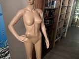 a female mannequin standing in front of a book shelf