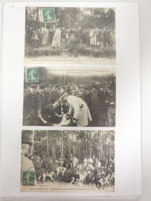 deux photos montrant deux personnes debout devant un groupe d'arbres