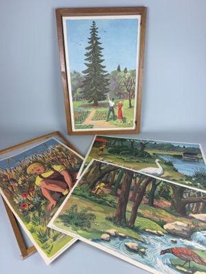 trois photos encadrées représentant un homme et une femme dans les bois