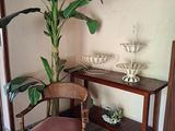 une chaise placée à côté d'une table sur laquelle se trouve une plante