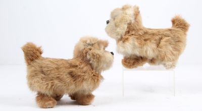 deux petites peluches posées sur une chaise blanche