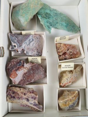 une boîte contenant différents types de pierres