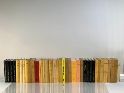 Les livres sont alignés en rang sur la table.