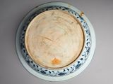 a blue and white plate with a blue and white design on it