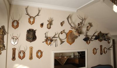 many deer heads mounted on the wall in this room