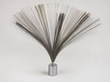 un vase en argent contenant une mèche de cheveux