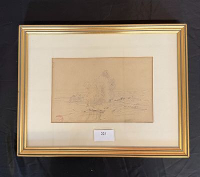 an image of a drawing of a tree in a gold frame