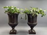 pair of black urns with green plants in them against a gray background