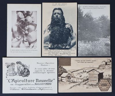 plusieurs vieilles photographies en noir et blanc représentant un homme barbu
