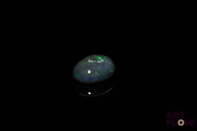l'image d'un oplite noir dans l'obscurité